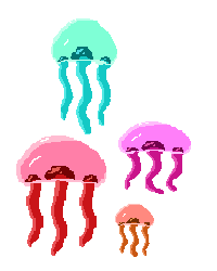 Jelly Group